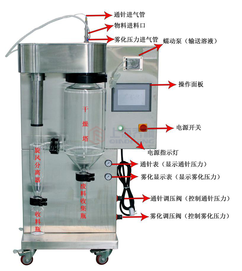 小型草莓视频污污污的使用操作教程及技巧
